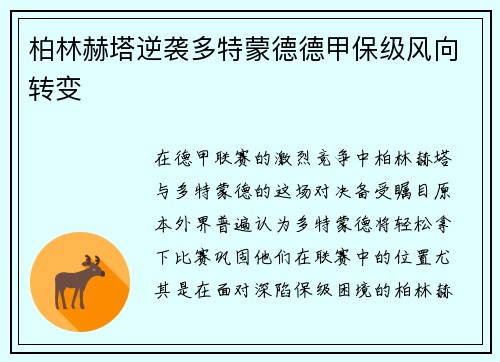 柏林赫塔逆袭多特蒙德德甲保级风向转变
