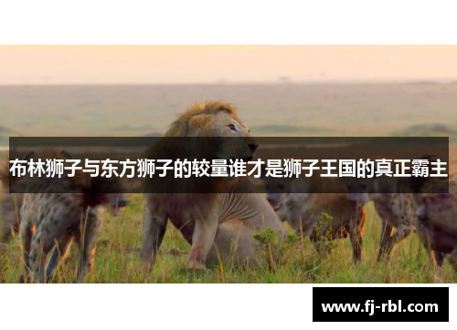 布林狮子与东方狮子的较量谁才是狮子王国的真正霸主