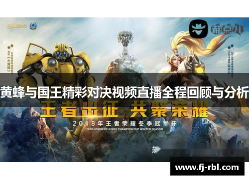 黄蜂与国王精彩对决视频直播全程回顾与分析